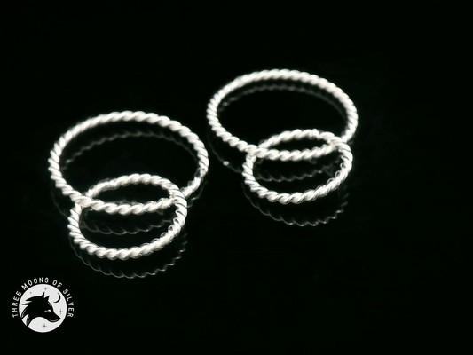 Twisted Silver Double Hoop Earrings