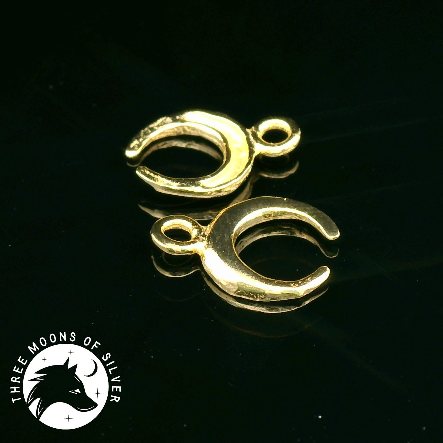 Elegant Golden Silver Moon Charms