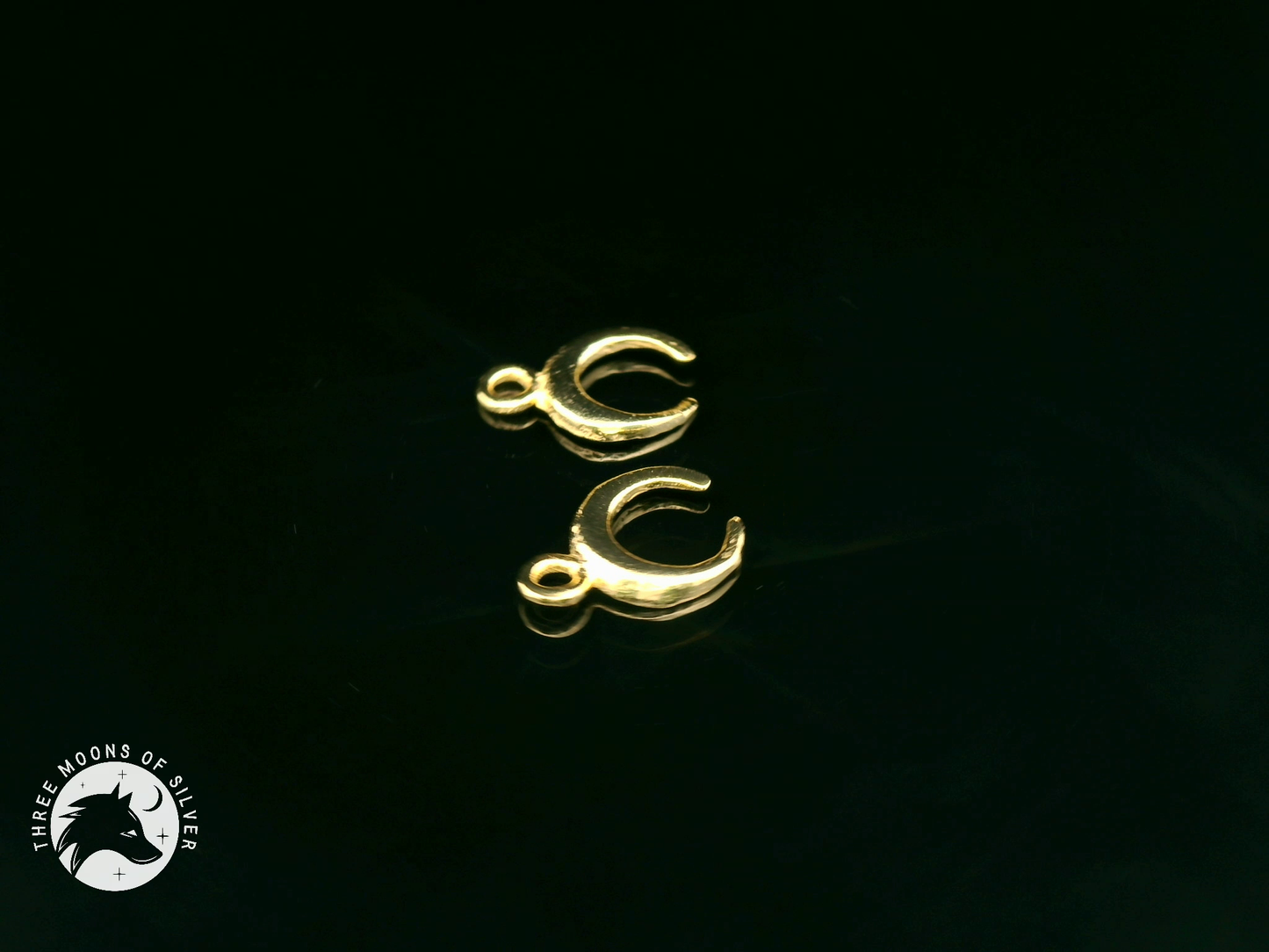 Elegant Golden Silver Moon Charms
