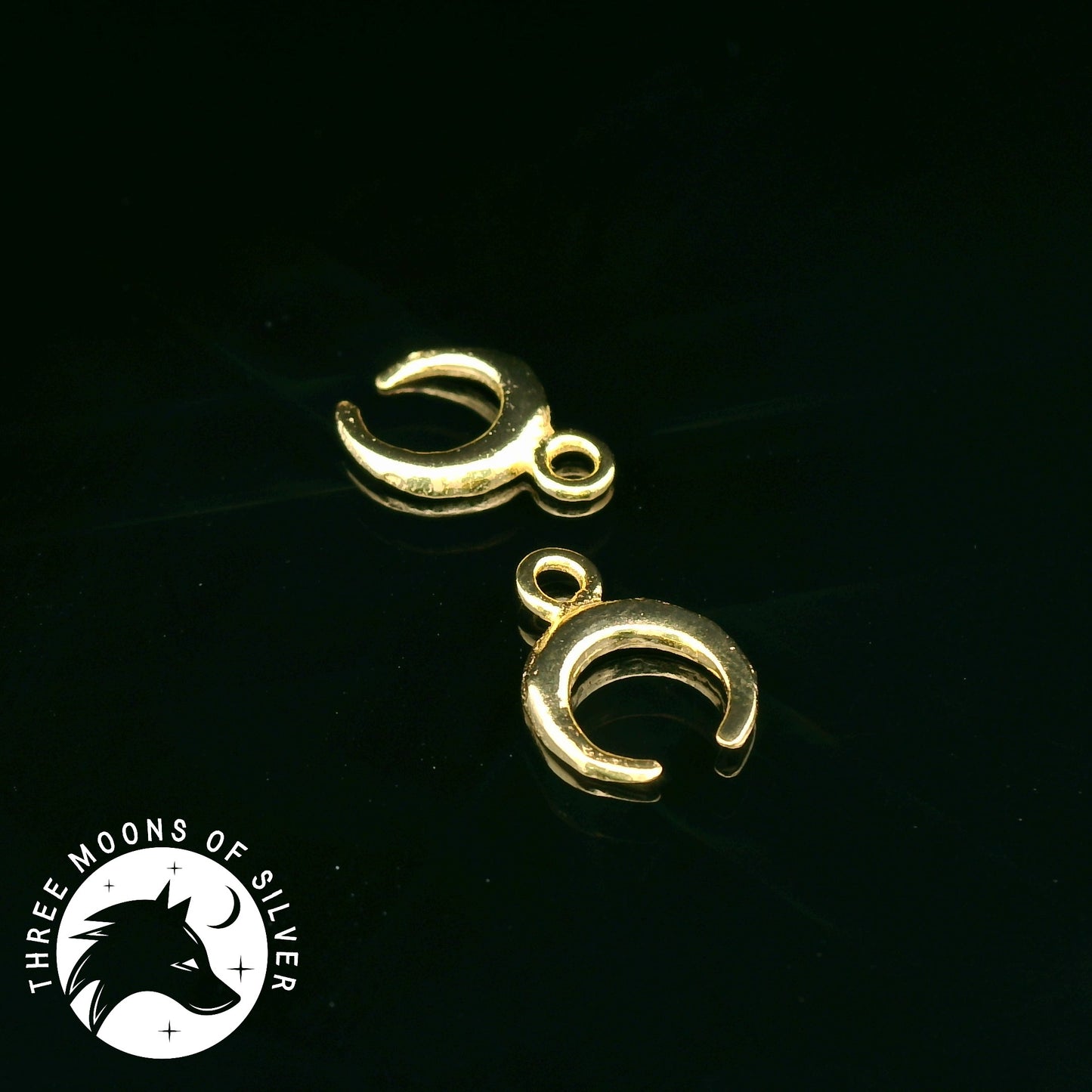 Elegant Golden Silver Moon Charms