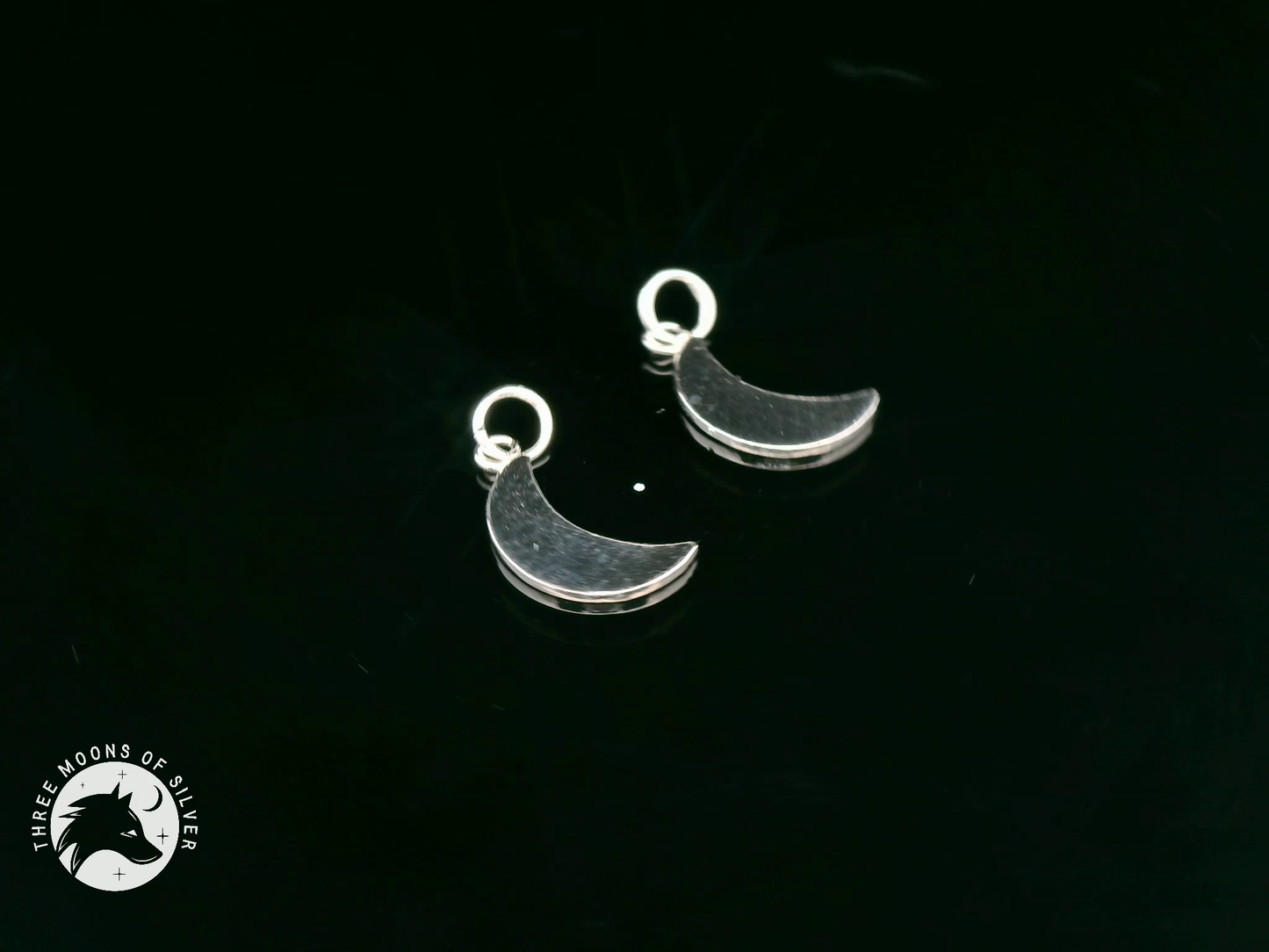 Elegant Crescent Moon Charms