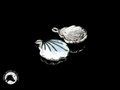 Colorful Shell Drop Earrings 14mm