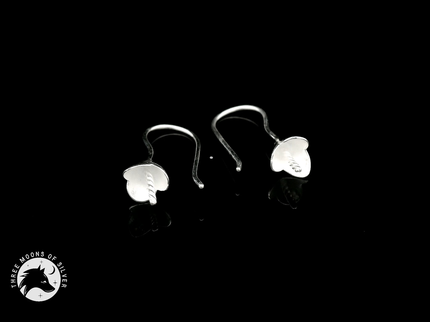Elegant Silver Fish Hook Earrings 22mm