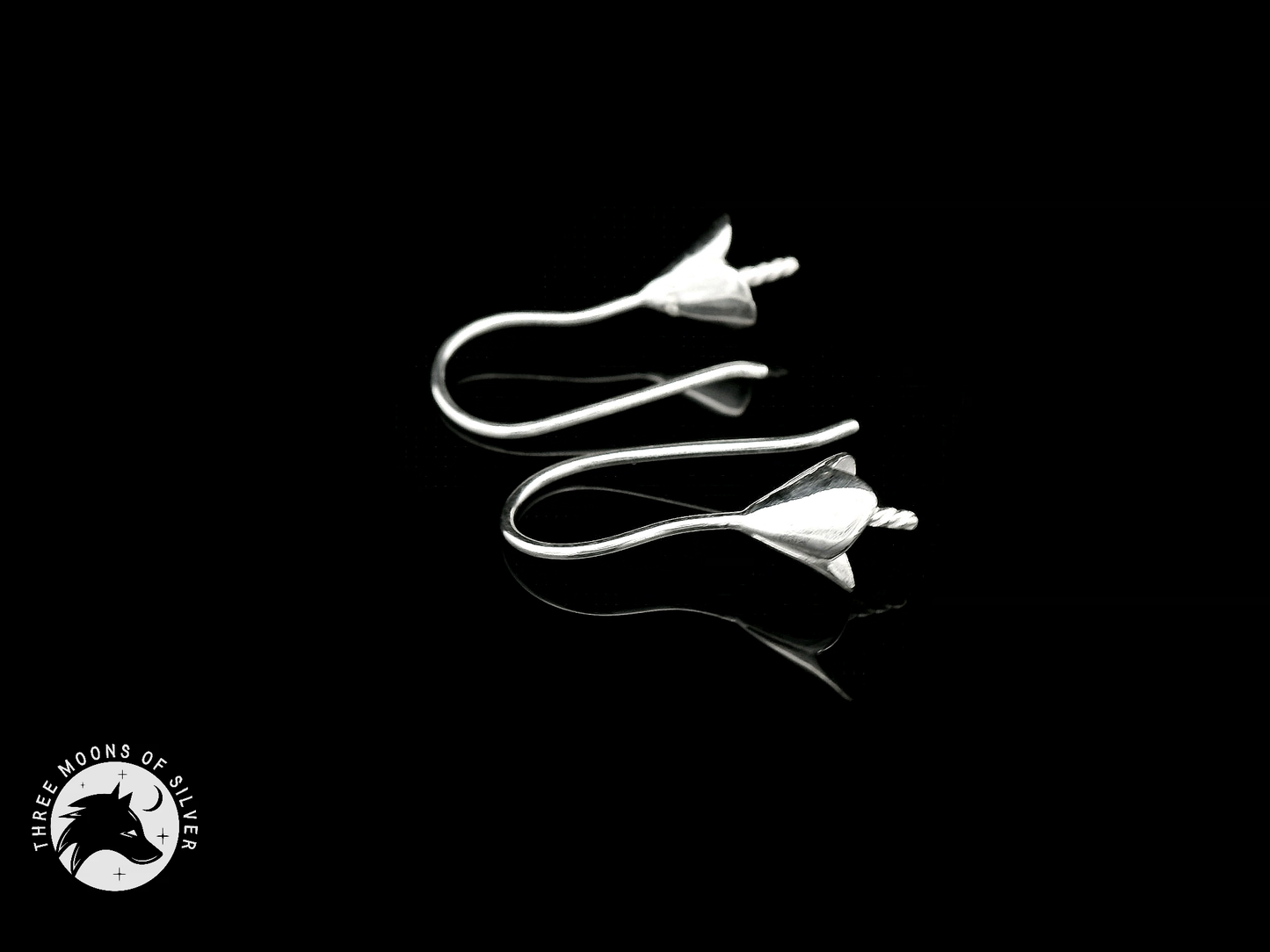Elegant Silver Fish Hook Earrings 22mm