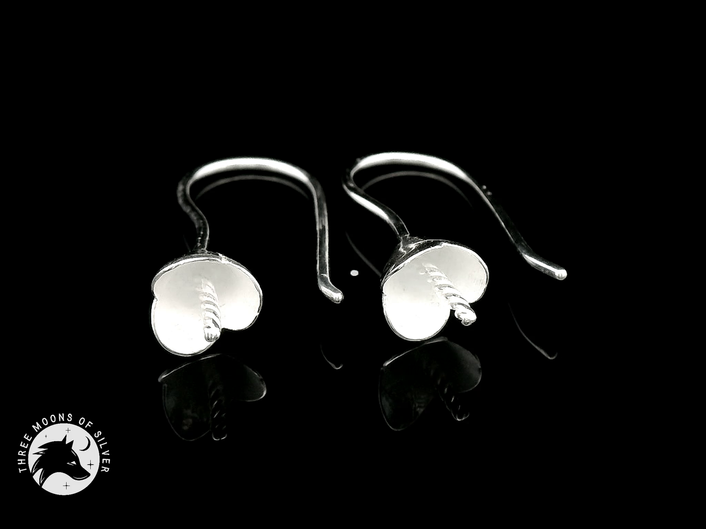 Elegant Silver Fish Hook Earrings 22mm