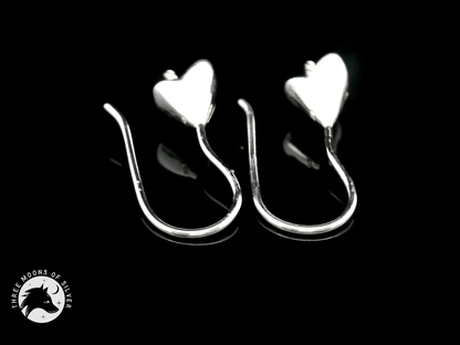 Elegant Silver Fish Hook Earrings 22mm