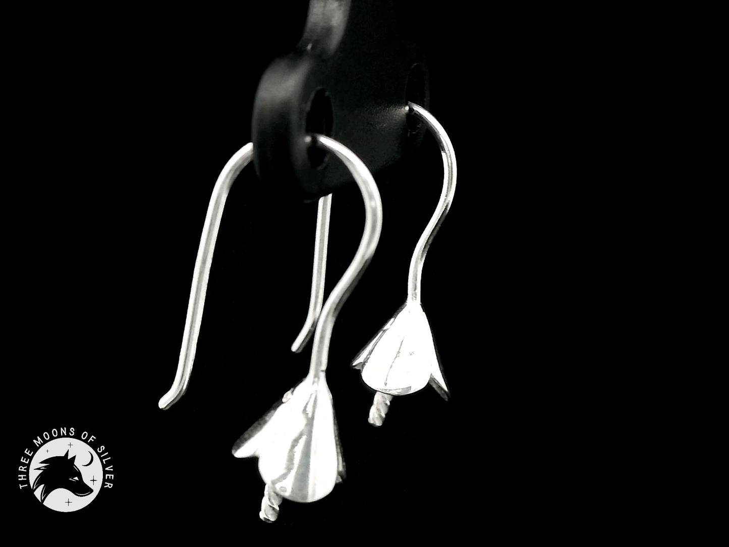 Elegant Silver Fish Hook Earrings 22mm