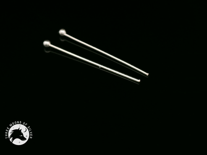 Long Silver Earrings 20mm