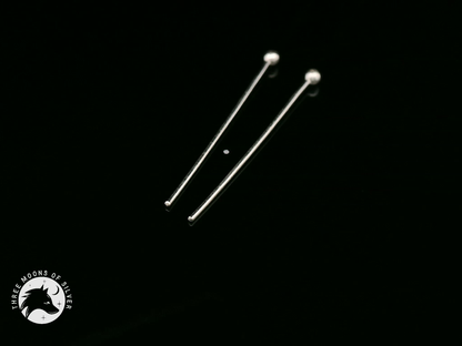 Long Silver Earrings 20mm