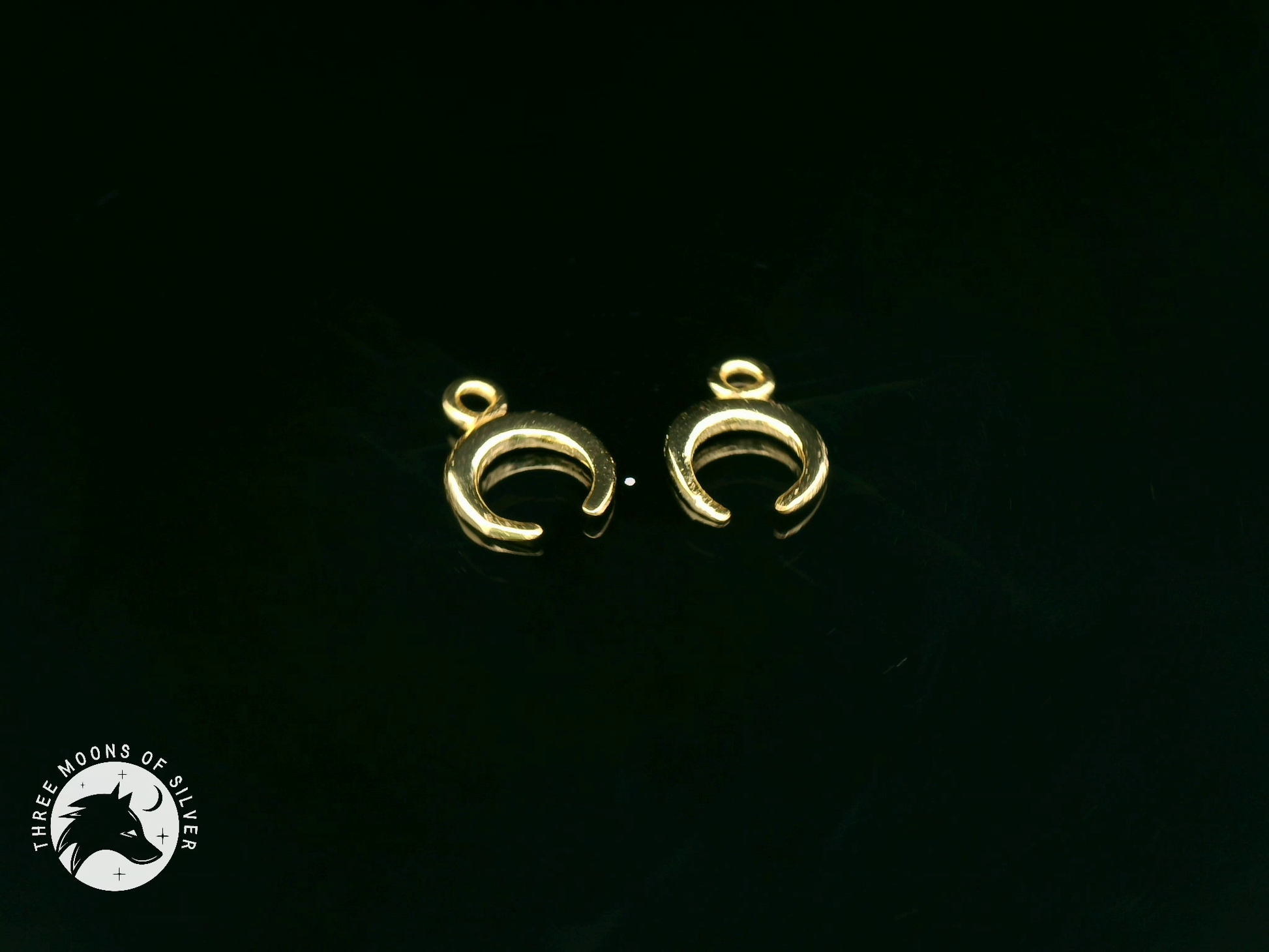 Elegant Golden Silver Moon Charms