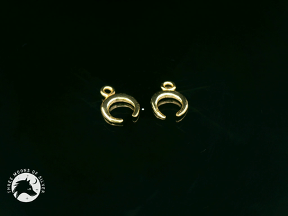 Elegant Golden Silver Moon Charms