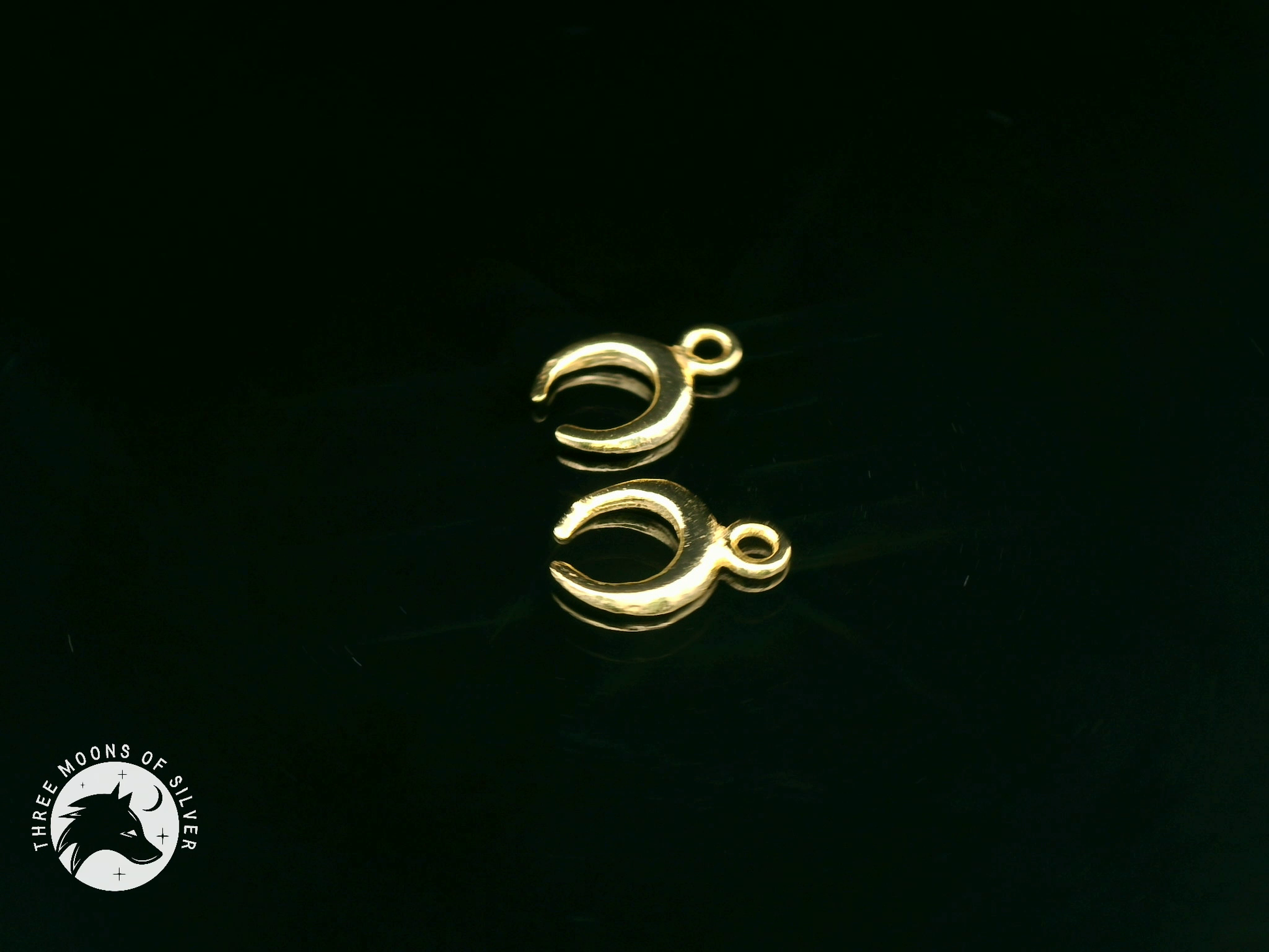 Elegant Golden Silver Moon Charms