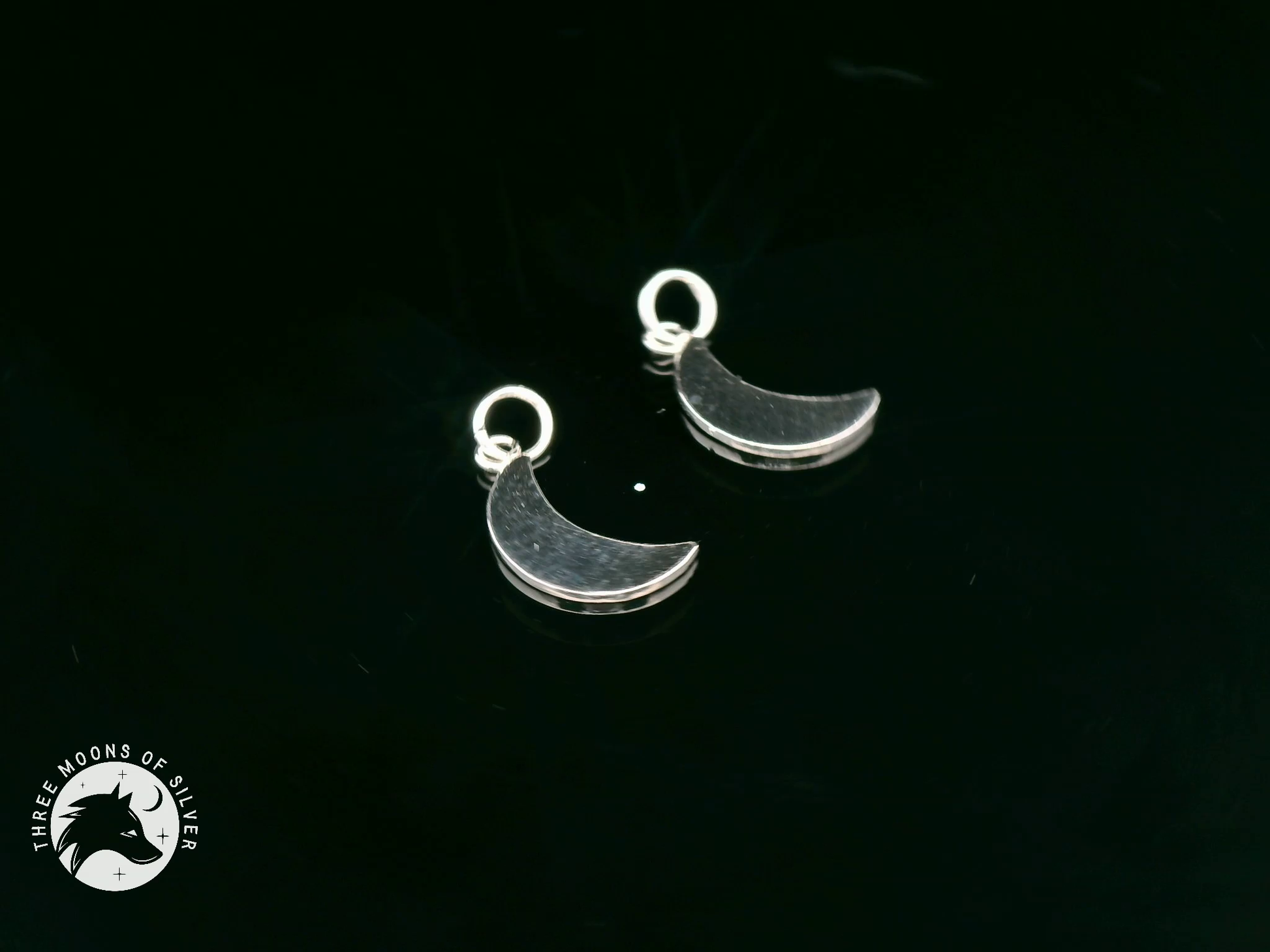 Elegant Crescent Moon Charms